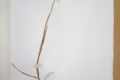 IMG_20241017_114931